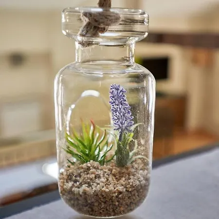 One Sauna & Jacuzzi Versailles